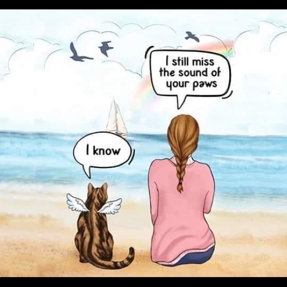 Meet your Posher, Chris - Picture 5 of 5